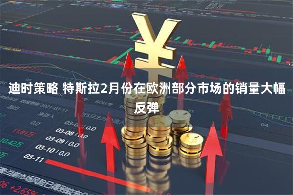 迪时策略 特斯拉2月份在欧洲部分市场的销量大幅反弹