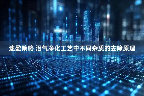 速盈策略 沼气净化工艺中不同杂质的去除原理